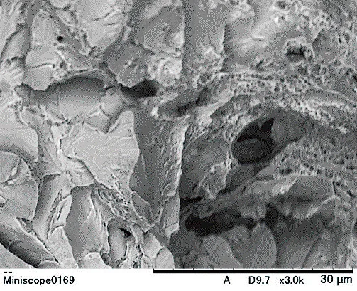 卓上走査型電子顕微鏡